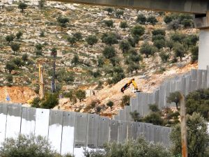 Olivenbäume werden gefällt und Land geebnet, Vorbereitungen für den Straßenbau auf der anderen Seite der Mauer; Foto © EAPPI