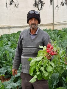 Abu Ahmad in seinem Gewächshaus; Foto © EAPPI