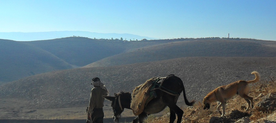 Burhan mit Esel und Hütehund, auf dem Hügel im Hintergrund die Siedlung Chemdat; Foto © EAPPI