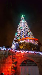 Weihnachtsbaum in Jerusalem