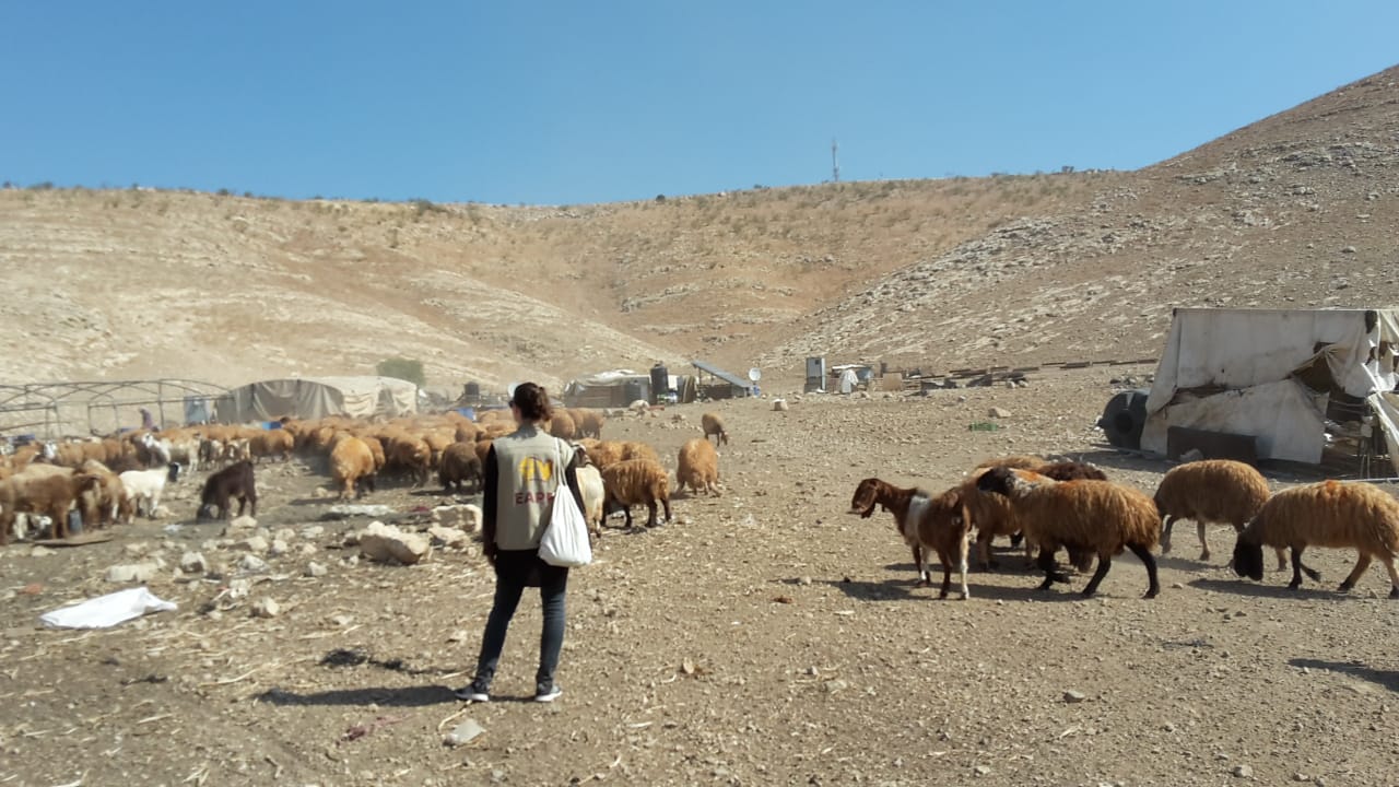 EA beobachtet das Aufbauen der Zelte in Khirbet Samra; Foto © EAPPI