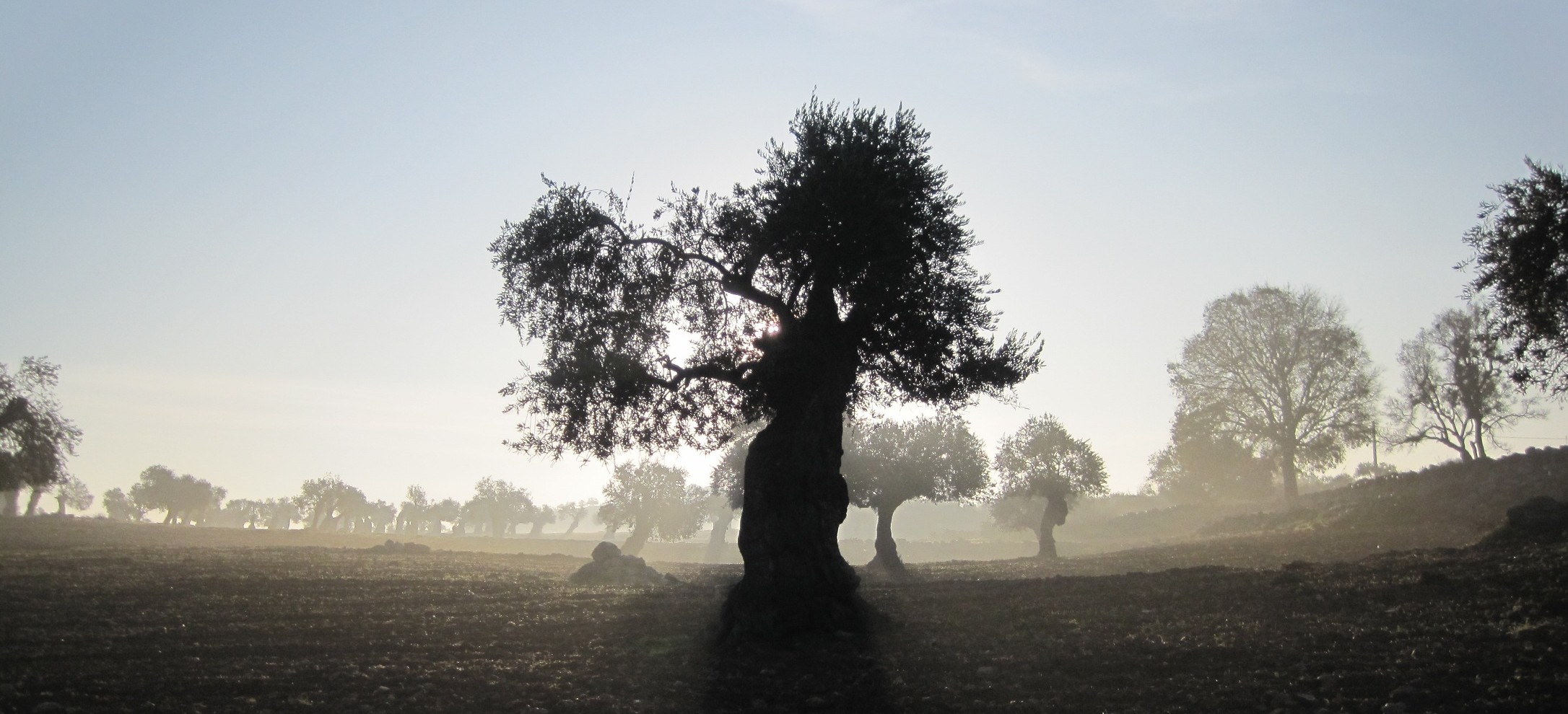 In der Umgebung von Yanoun, Foto: Kerstin Dahlberg
