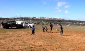 Land Action in Um al Arais, im Hintergrund der Außenposten Mitzpe Yair