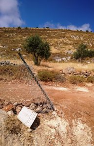 Durchtrennter und ausgewickelter Zaun am Rand des Feldes. Foto © EAPPI