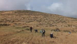 Arbeit auf dem Feld unterhalb des Außenpostens © EAPPI