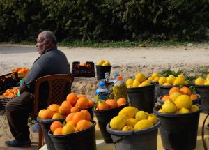 Verkauf von Zitrusfrüchten direkt vom Baum ©EAPPI