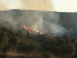 Brennende Olivenbäume in Burin, auf dem Hügel ein Teil der Siedlung; © EAPPI