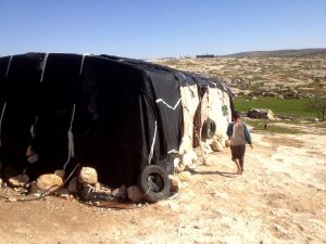 Susiya im Februar 2017