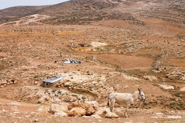 Massafer Yatta: Schönheit und Kargheit der Landschaft kurz vor der Wüste Negev. Auch hier im Hintergrund ein abgerissenes Gebäude.