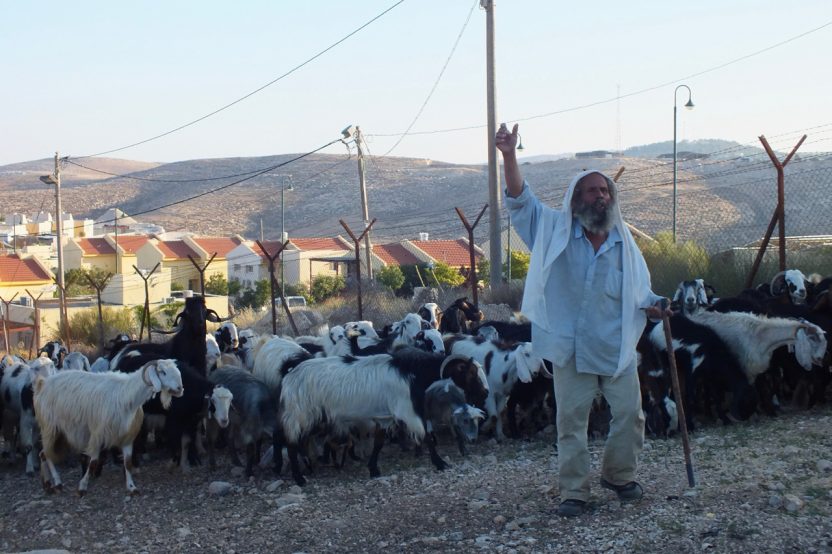 Im Vordergrund der palästinensische Ort Um Al Kheir, im Hintergrund die israelische Siedlung Karmel. Hier leben Beduinen und israelische Siedler nur durch zwei Zäune und einen knappen Landstreifen dazwischen getrennt. Immer wieder kommt es zu Konflikten.