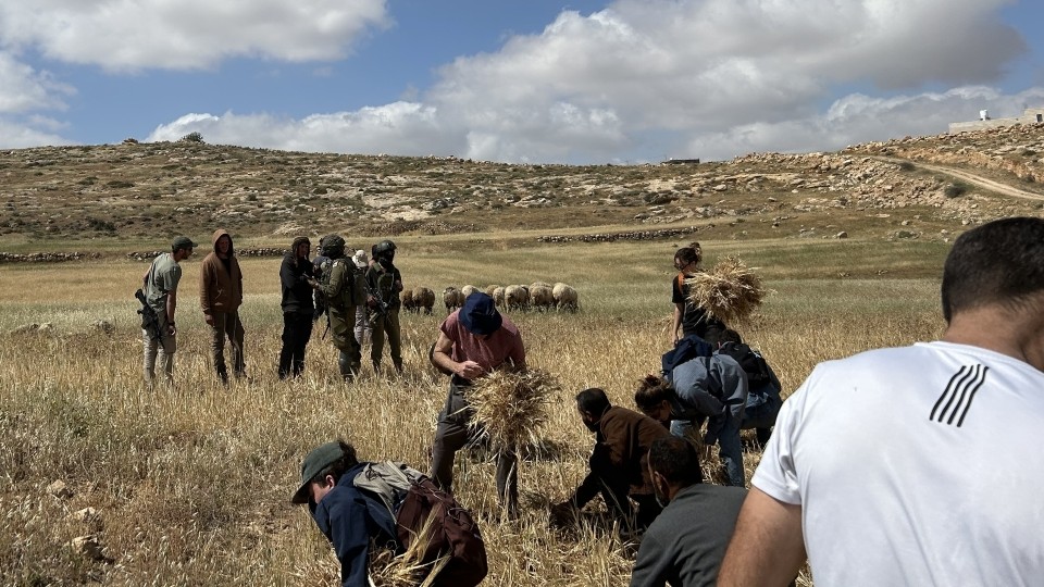 Während wir ernten diskutieren die Siedler mit den Soldaten; Foto © WCC-EAPPI/Nadja