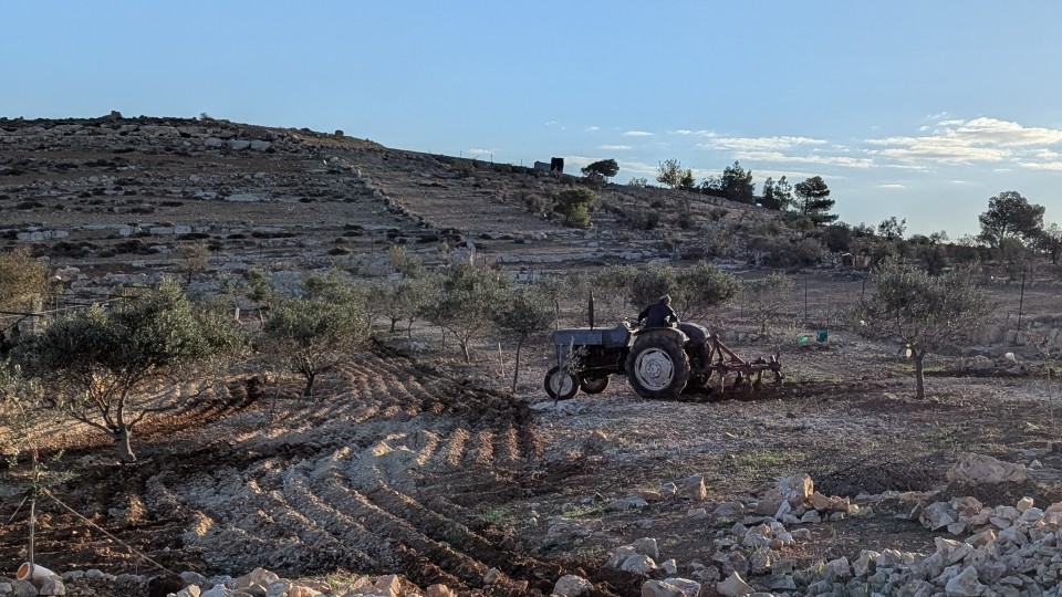 Aus Sorge vor Übergriffen radikaler Siedler bitten die Menschen in den South Hebron Hills z.B. auch bei landwirtschaftlichen Tätigkeiten um Protective Presence; © WCC-EAPPI/R.