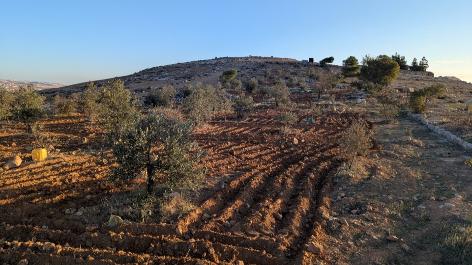 Frisch gepflügtes Land in den South Hebron Hills; © WCC-EAPPI/R.