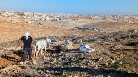 Nach der Arbeit ist vor der Arbeit – Die Bedeutung des Pflügens in den South Hebron Hills