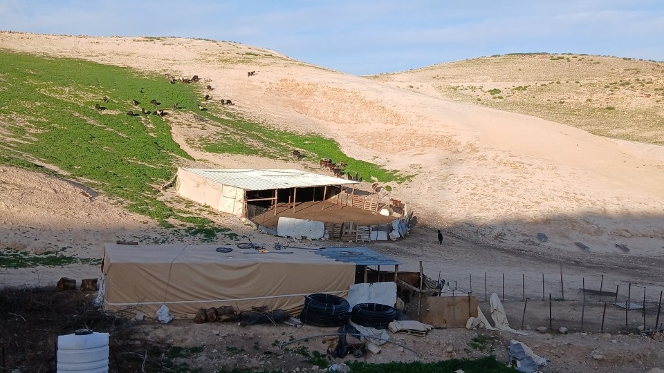 Schafe und Ziegen grasen nur noch selten und in der unmittelbaren Umgebung des Stalls; © WCC-EAPPI/Dorothee