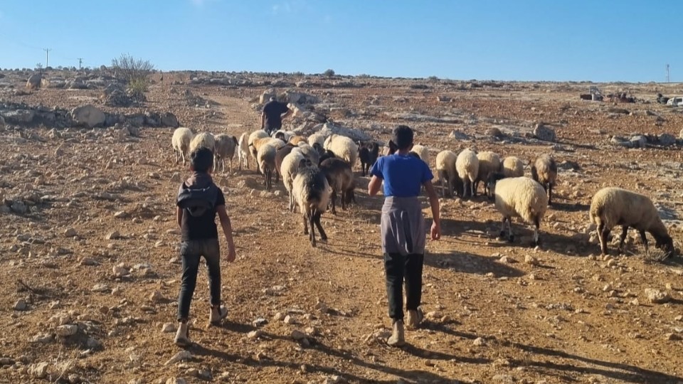 An diesem Morgen begleiten wir Issa und seine Söhne auf dem Weidegang; © WCC-EAPPI/Marvin