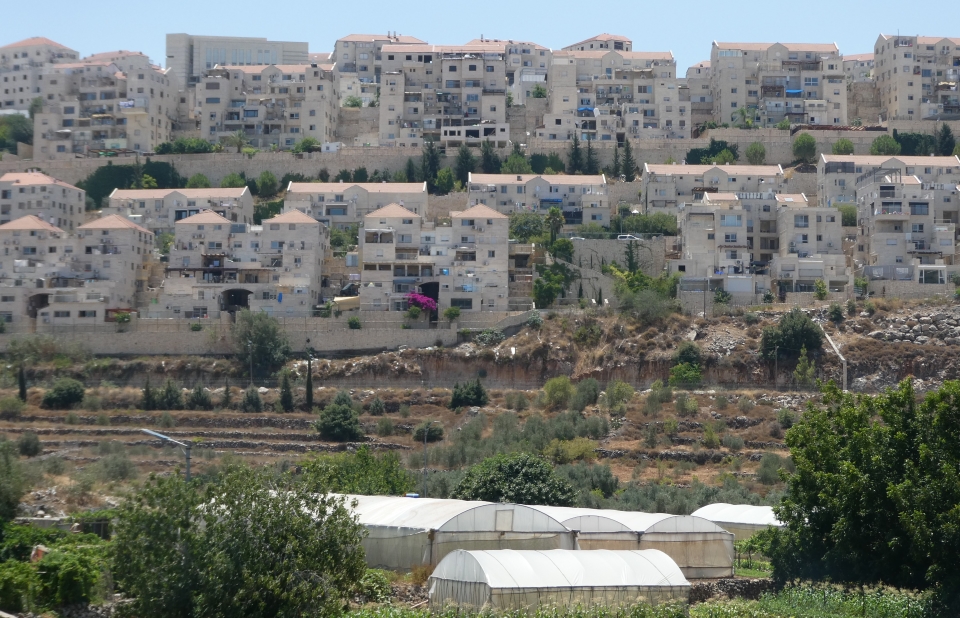 Im Vordergrund das Farmland von Wadi Fukin, im Hintergrund die völkerrechtswidrige Siedlung Beitar Illit© WCC-EAPPI/Sabina